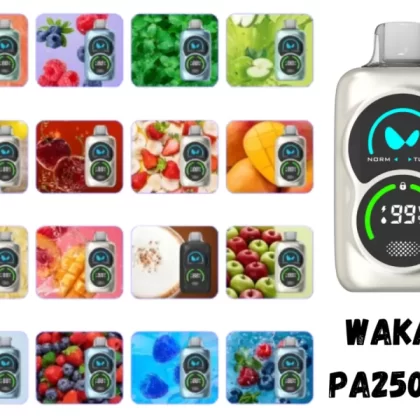 Waka PA25000 Puffs Disposable Vape 50mg