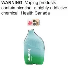 Wowking Disposable Mint AF