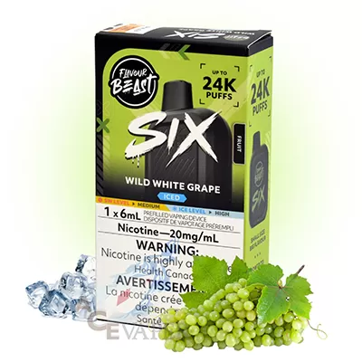 Wild White Grape Iced SIX 24K Disposable Vape Device by Flavour Beast