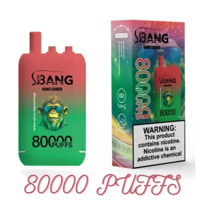 Wholesale Price Bang LEADER 80000 Puffs Vape Device